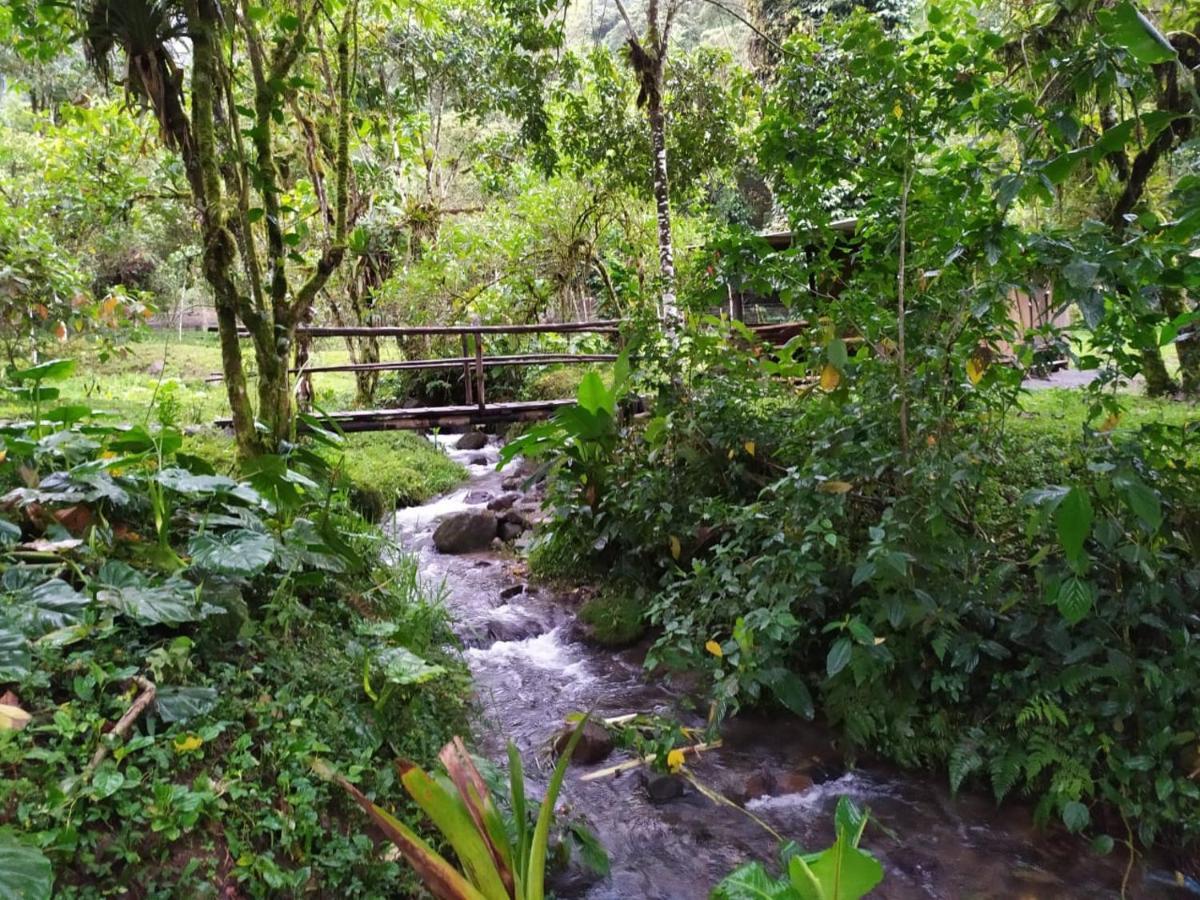 Mindo Eco Chalet Con Rio Y Cascada Exterior photo