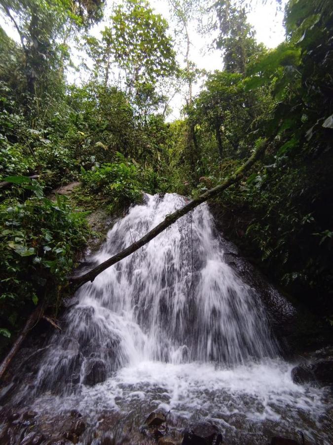 Mindo Eco Chalet Con Rio Y Cascada Exterior photo